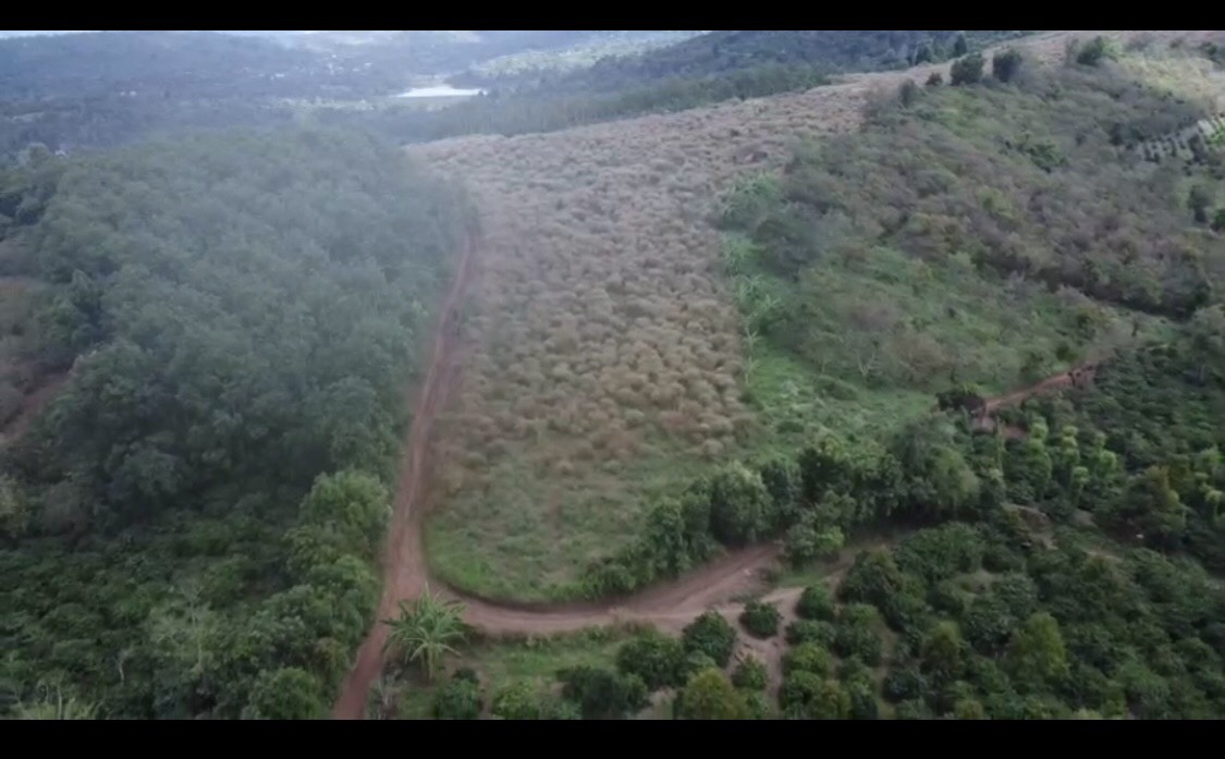 Tài sản Số 387 Phan Chu Trinh. Phường Tân Lợi, thành phố Buôn Ma Thuột, tỉnh Đắk Lắk