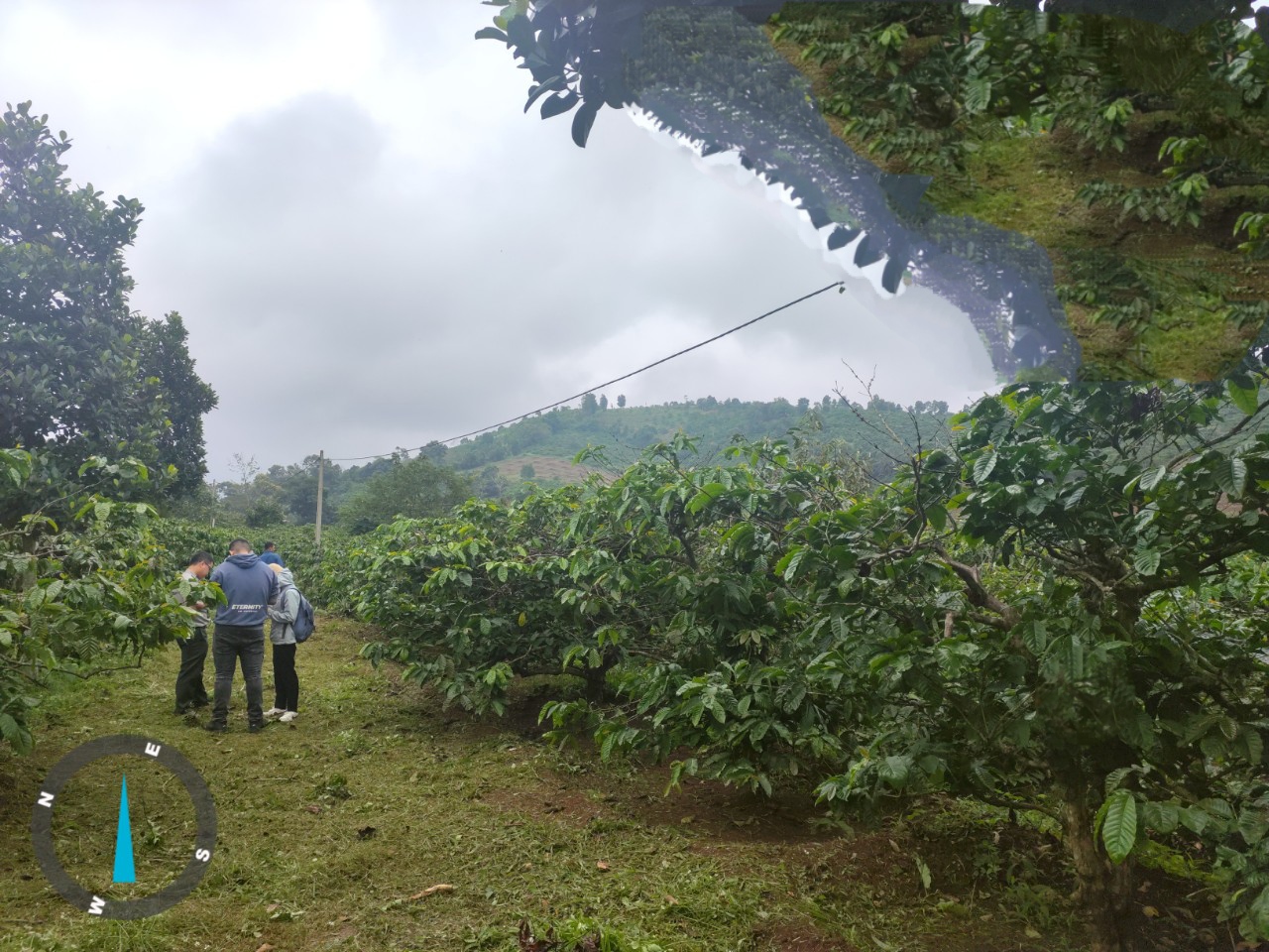 THÔNG BÁO BÁN ĐẤU GIÁ TÀI SẢN (LẦN 02) 