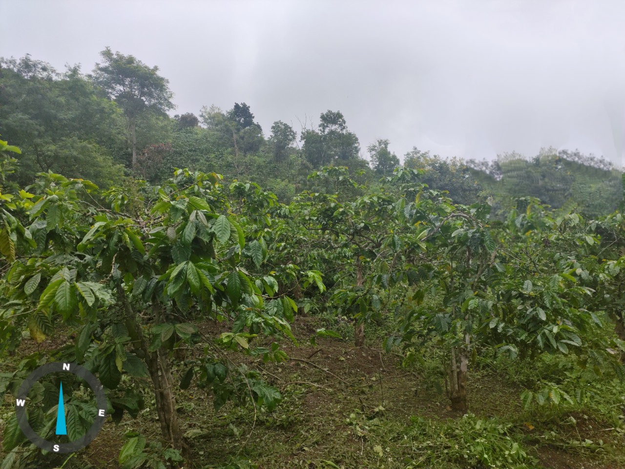 THÔNG BÁO BÁN ĐẤU GIÁ TÀI SẢN (LẦN 02) 