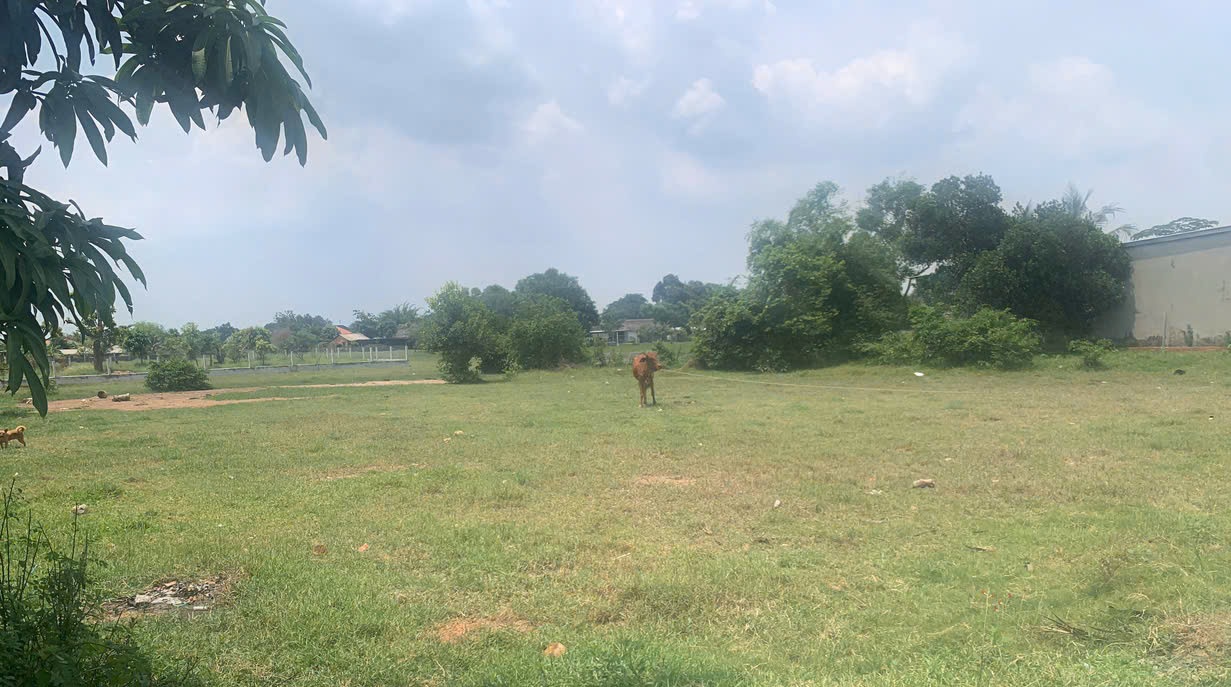 Quyền sử dụng đất và tài sản khác gắn liền với đất thuộc thửa đất số: 267, tờ bản đồ số: 27, tại địa chỉ: Khu A, Thị trấn Hậu Nghĩa, huyện Đức Hoà, Tỉnh Long An