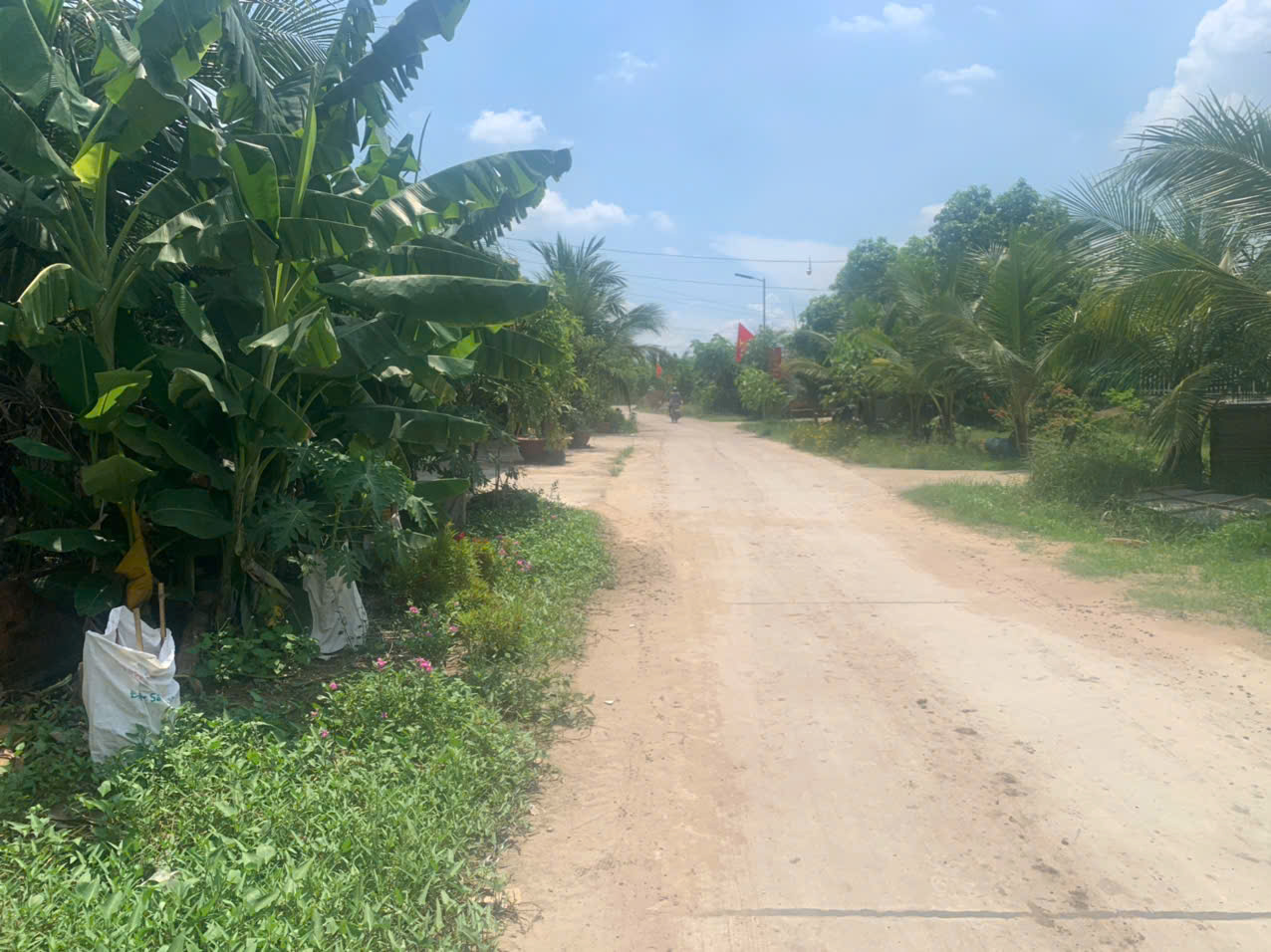 Quyền sử dụng đất thuộc thửa đất số: 756, tờ bản đồ số: 19, tại địa chỉ: xã Tân Mỹ, huyện Đức Hoà, Tỉnh Long An