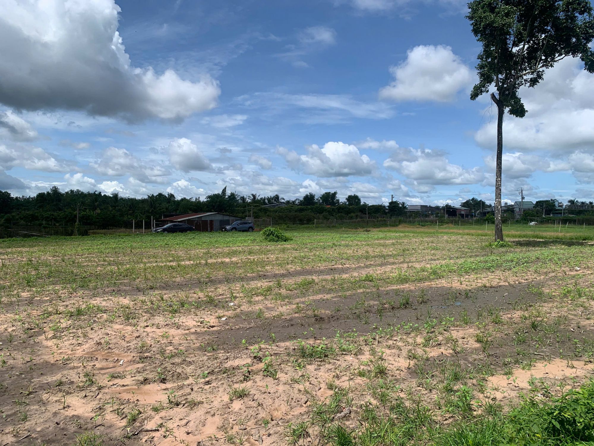 Quyền sử dụng đất và tài sản khác gắn liền với đất thuộc thửa đất số: 474 + 475, tờ bản đồ số: 26, tại địa chỉ: xã Bàu Năng, huyện Dương Minh Châu, tỉnh Tây Ninh (nay là phường Ninh Thạnh, tỉnh Tây Ninh) 