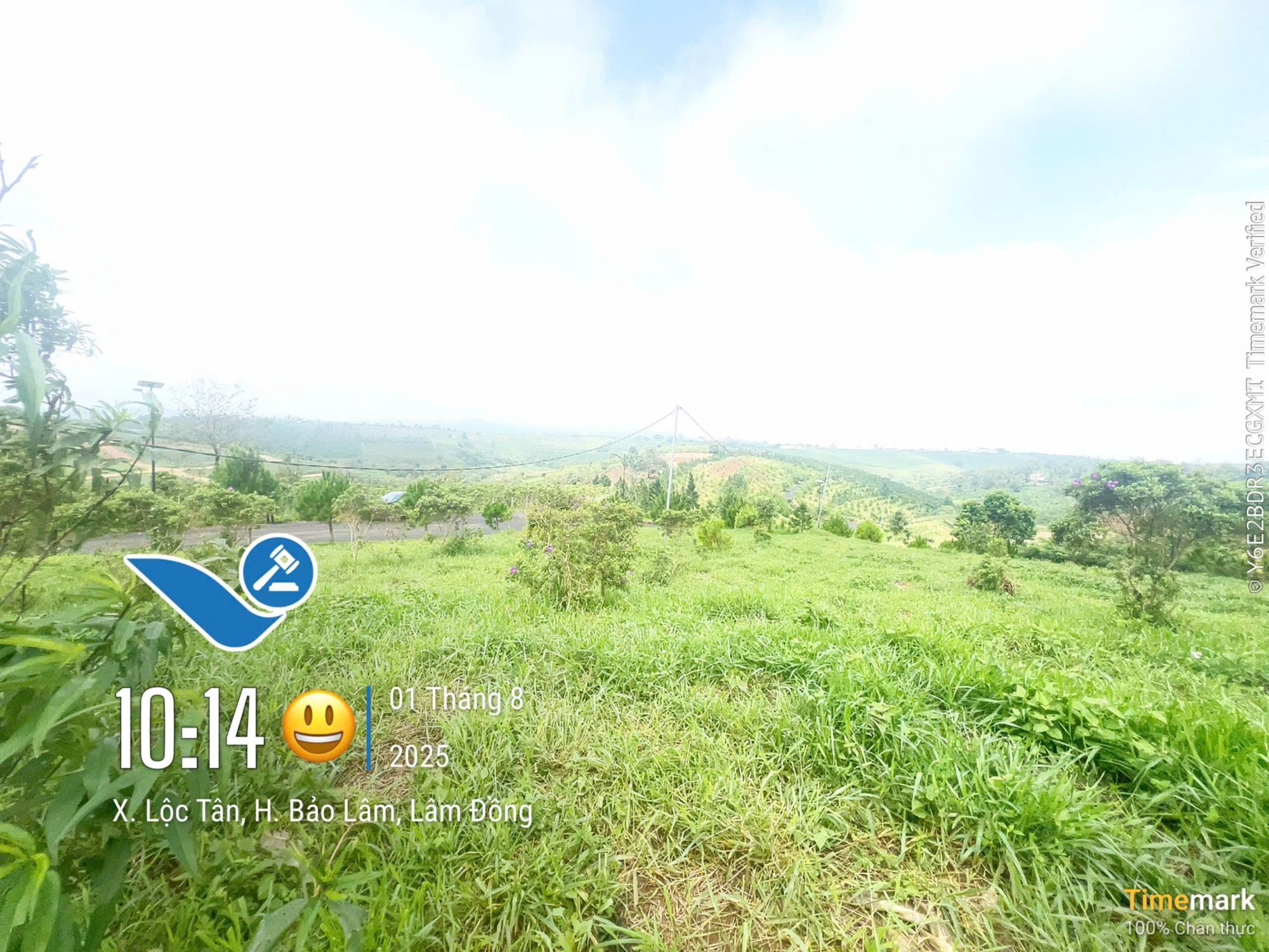 Quyền sử dụng đất và tài sản khác gắn liền với đất thuộc thửa đất số: 196, tờ bản đồ số: 44 tại địa chỉ: Xã Lộc Tân, huyện Bảo Lâm, tỉnh Lâm Đồng (nay là Phường 2 Bảo Lộc, tỉnh Lâm Đồng) 