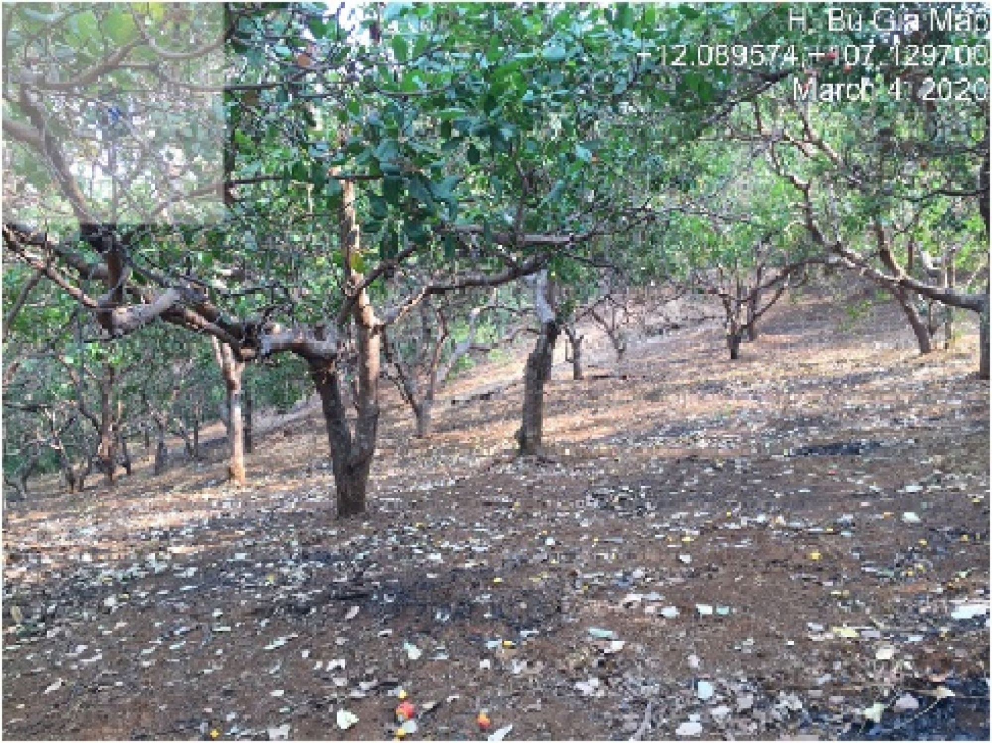 Thửa đất số 201, tờ bản đồ số 15. Địa chỉ thửa đất: Thôn 3, xã Đăk Ơ, huyện Bù Gia Mập, tỉnh Bình Phước