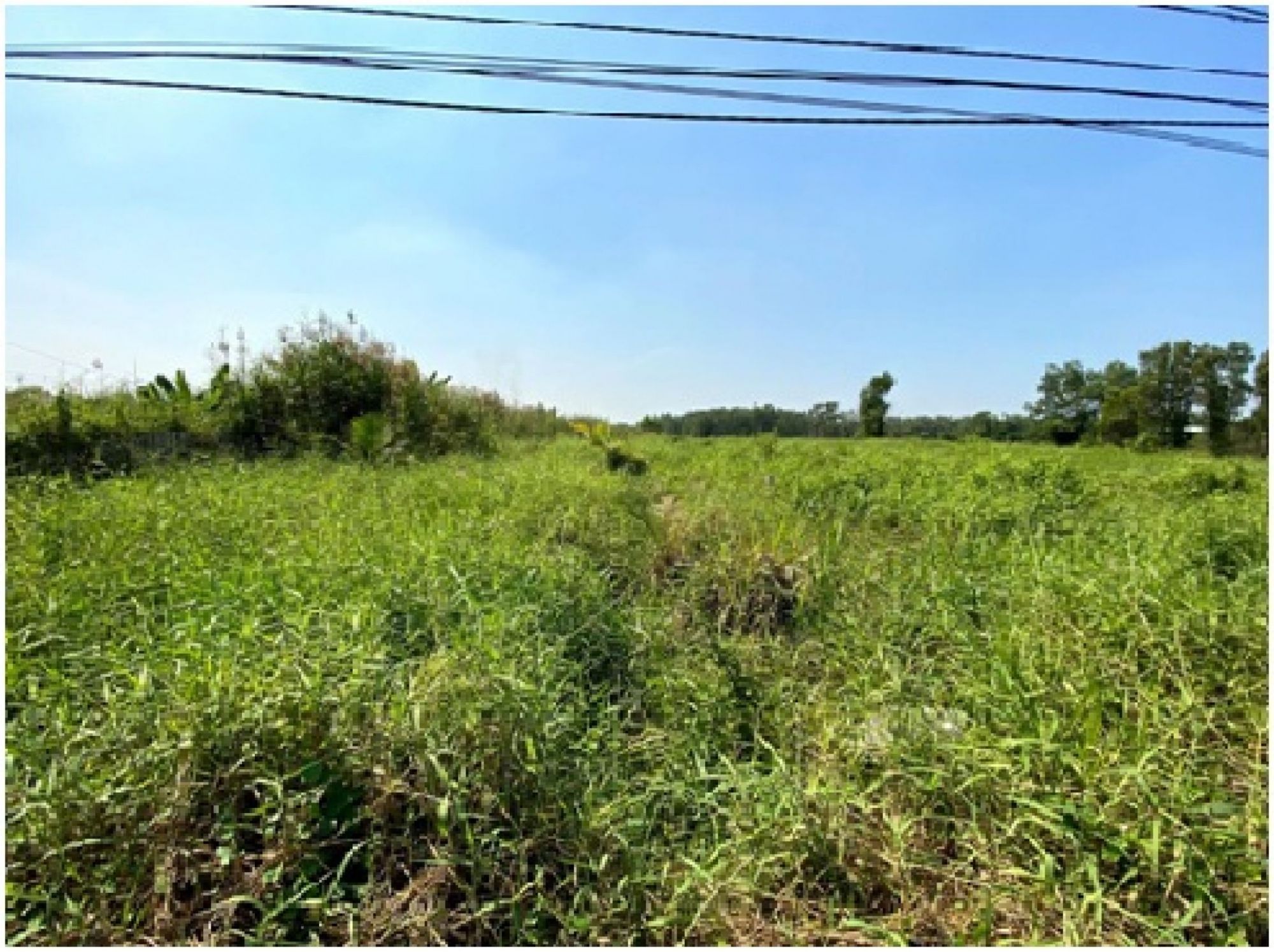 Thửa đất số 517, tờ bản đồ số 58 - (BDDC) địa chỉ thửa đất: xã Lê Minh Xuân, huyện Bình Chánh, Tp Hồ Chí Minh