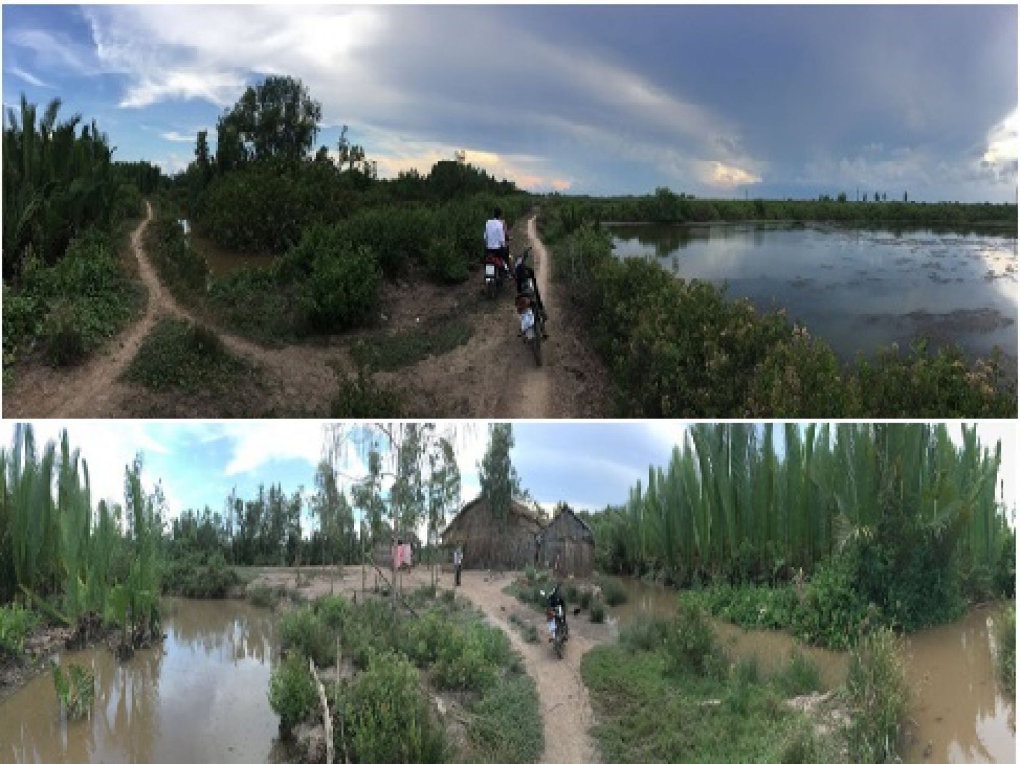 Thửa đất số 79, 83, 64. Địa chỉ thửa đất tại: ấp Ca Lạc A, Xã Lạc Hòa, Huyện Vĩnh Châu, Tỉnh Sóc Trăng